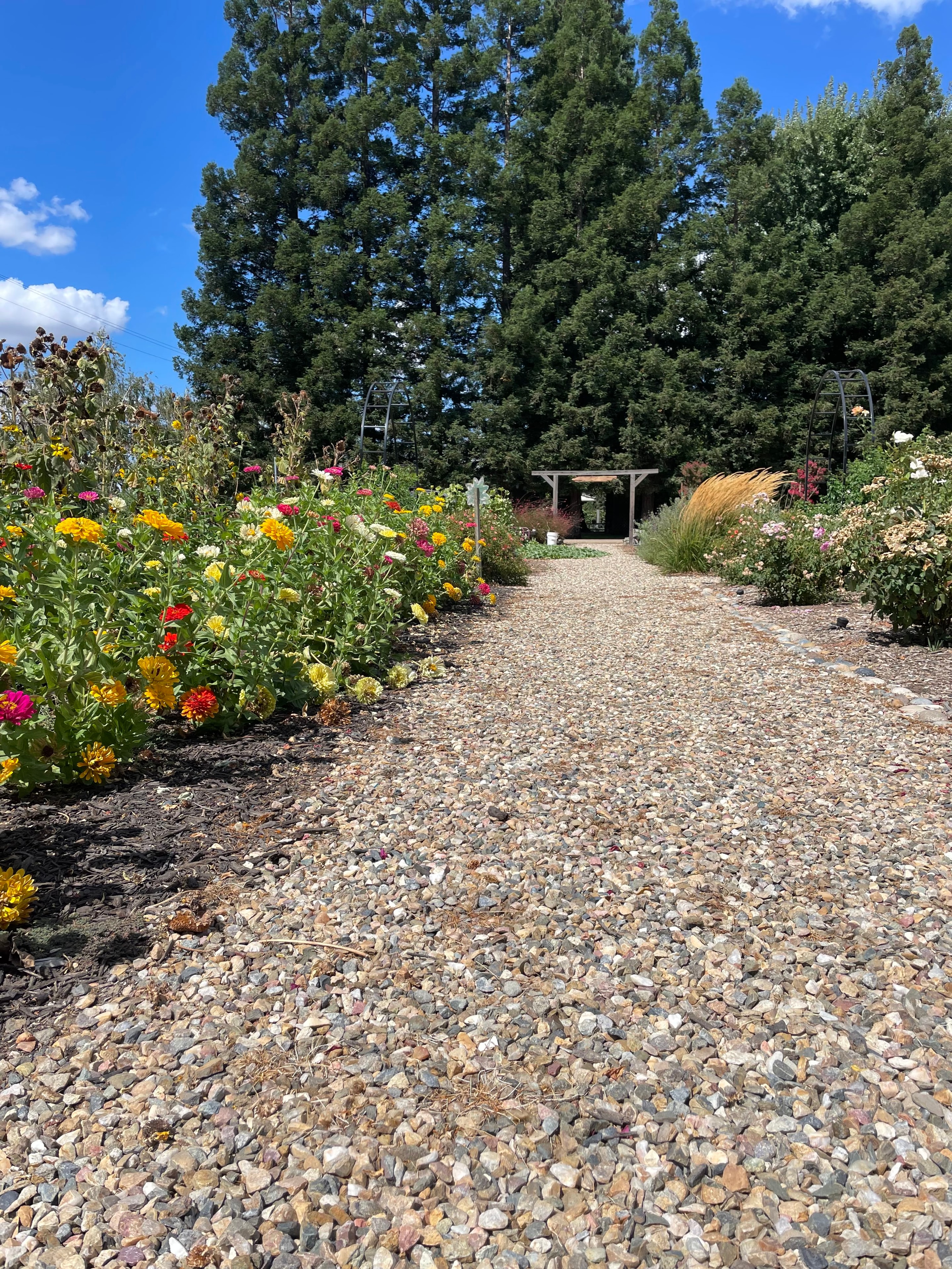 Stonum Winery estate photo