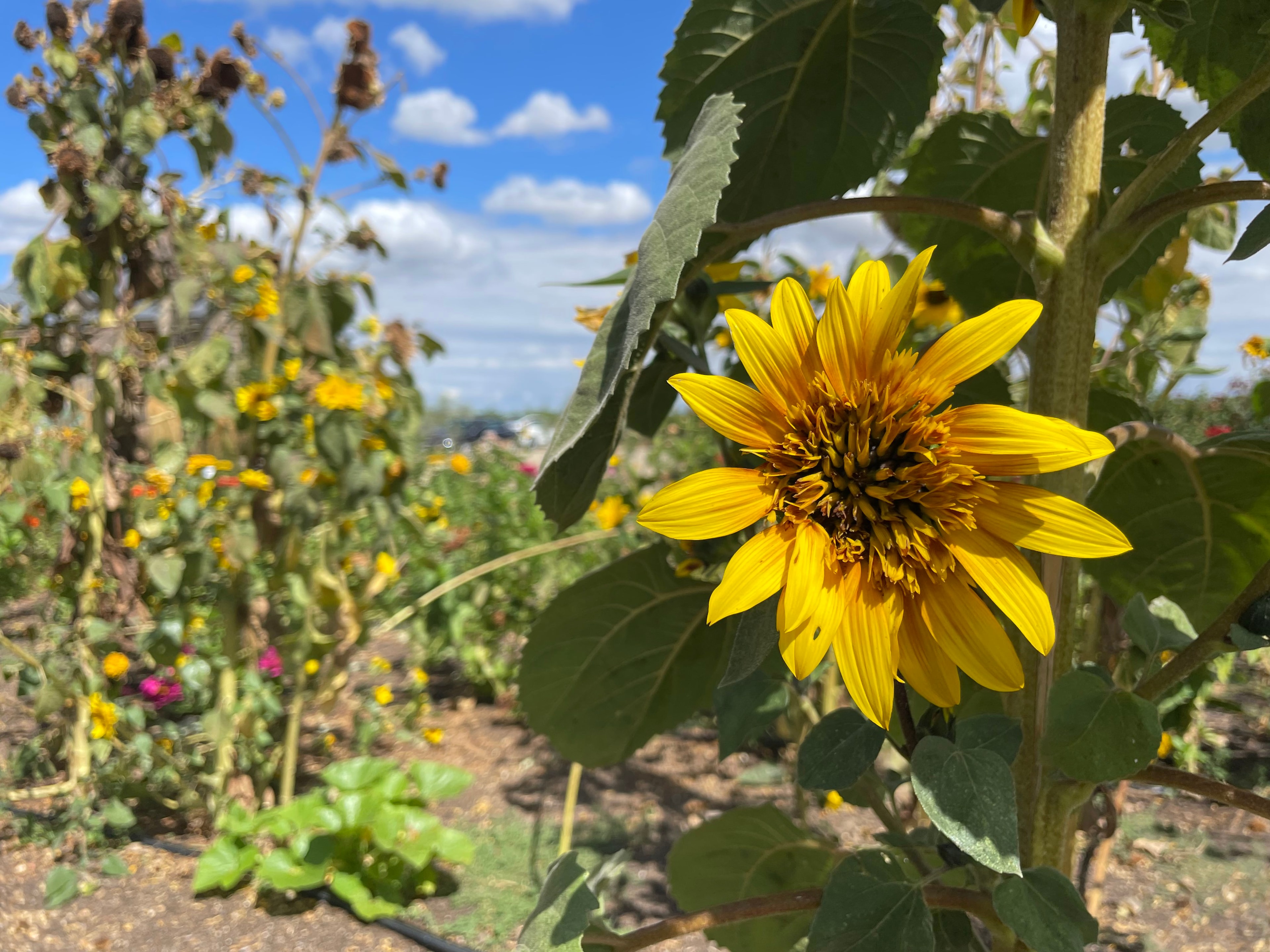 Stonum Winery estate photo