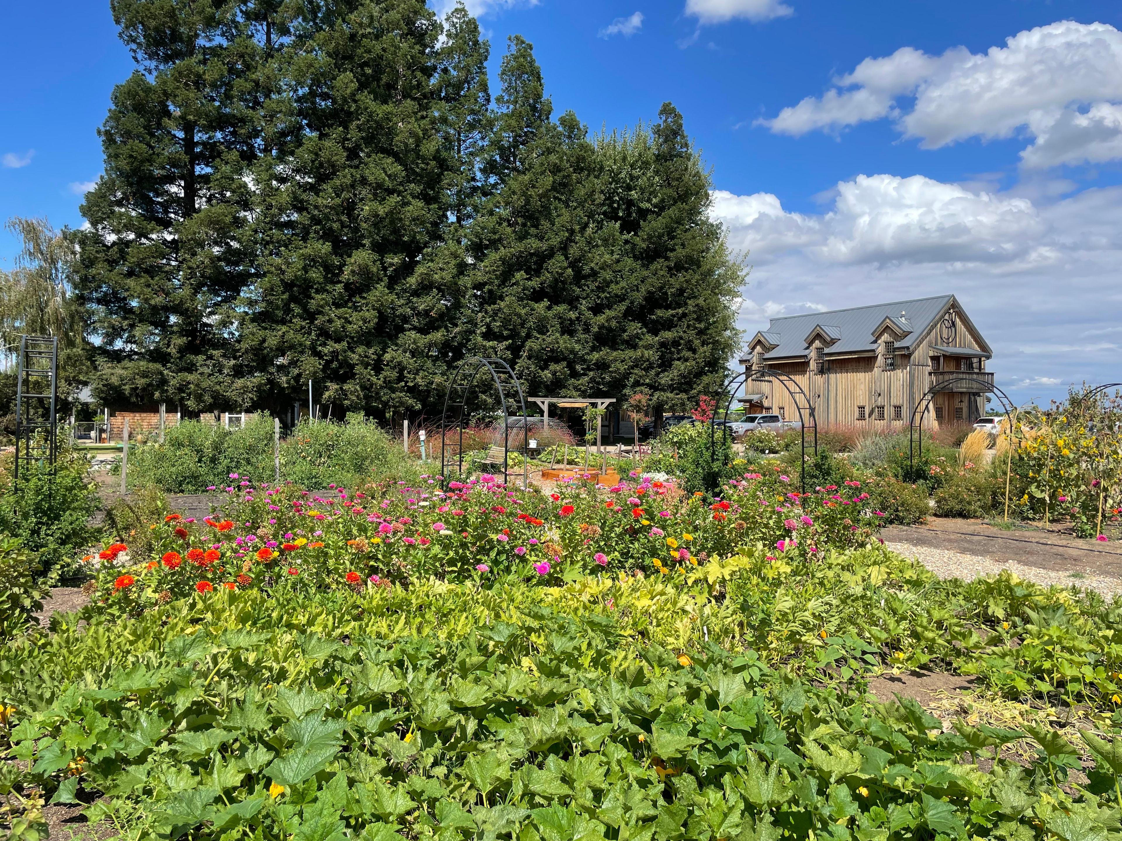 Stonum Winery estate photo