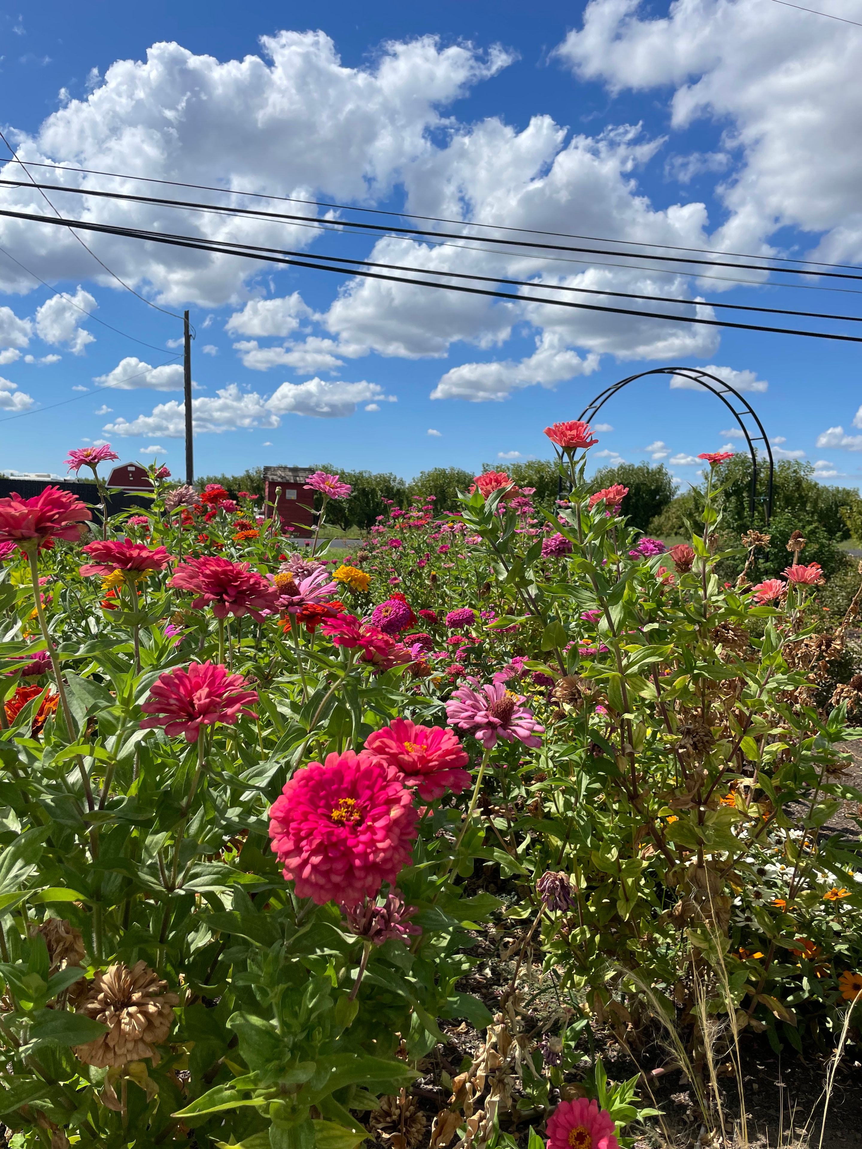 Stonum Winery estate photo