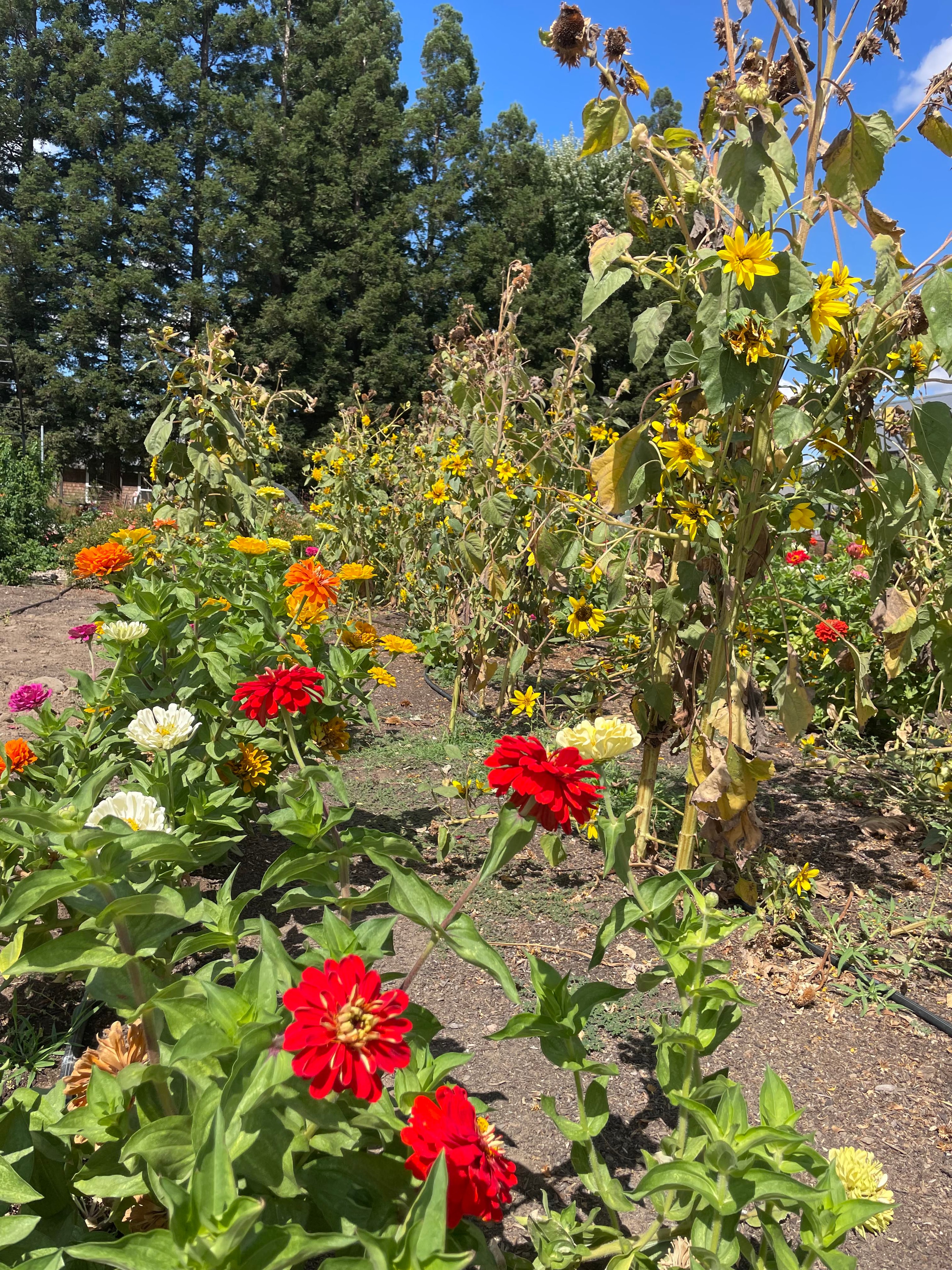 Stonum Winery estate photo