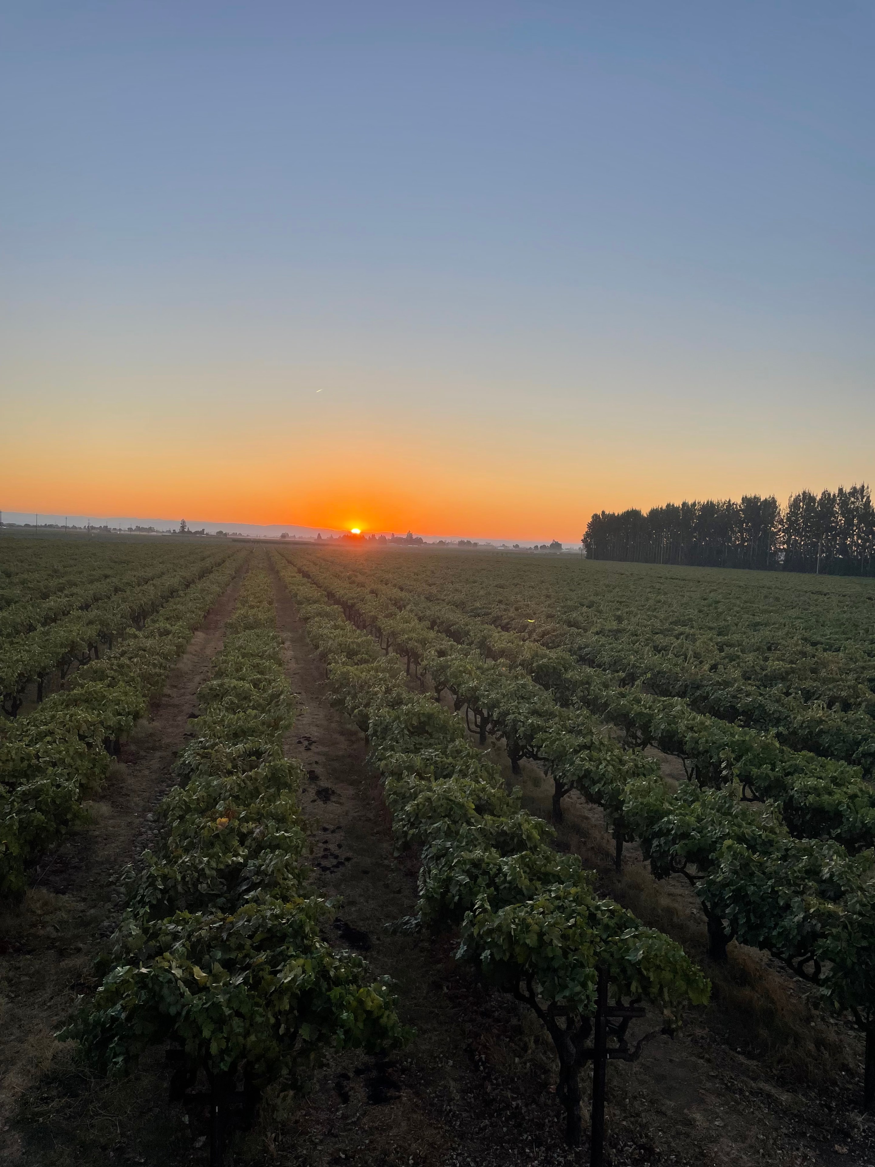 Stonum Winery estate photo