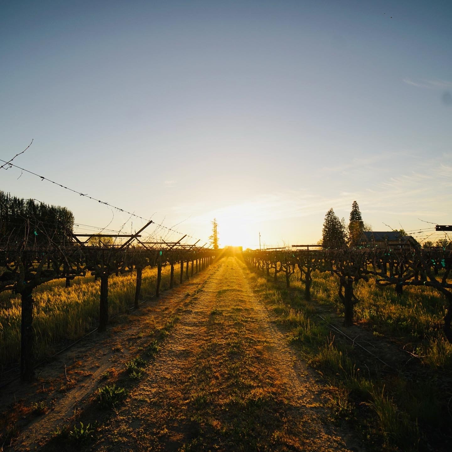 Stonum Winery estate photo